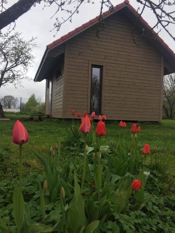 Holiday House Ausekla Namins Cesis Bagian luar foto