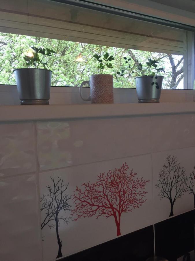Holiday House Ausekla Namins Cesis Bagian luar foto